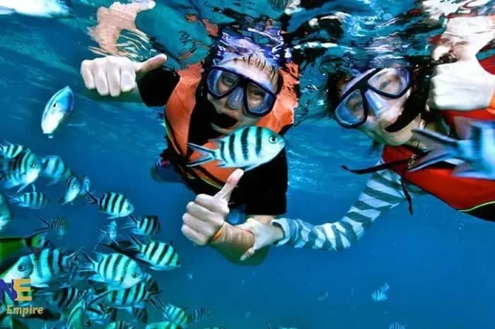 Hurghada Diving with Coral Reefs