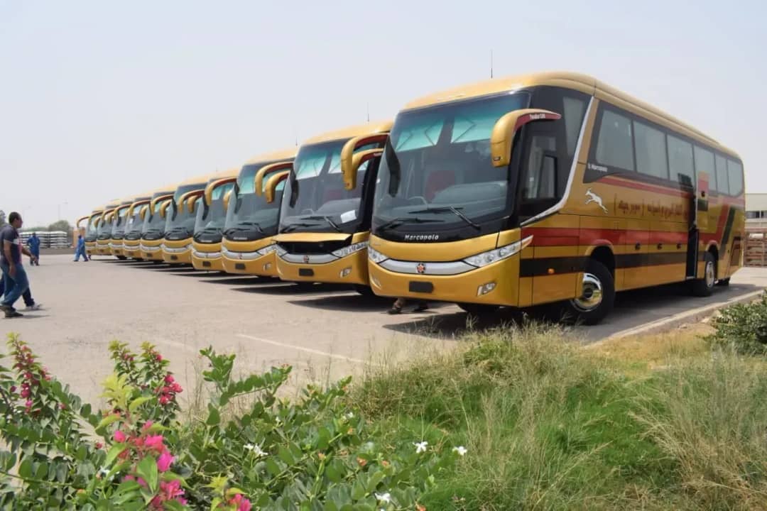 bus