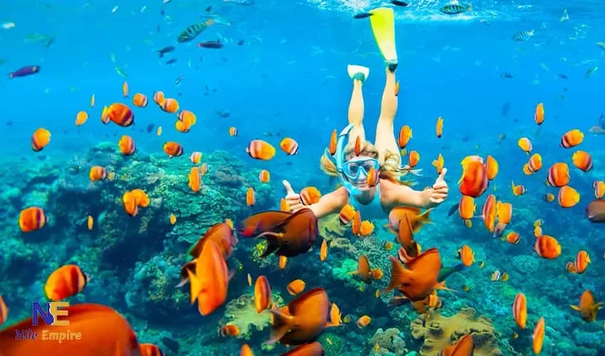 A snorkeler with a mask and snorkel among orange reef fish