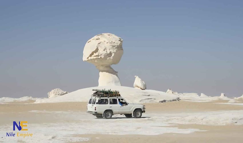 white desert (20)