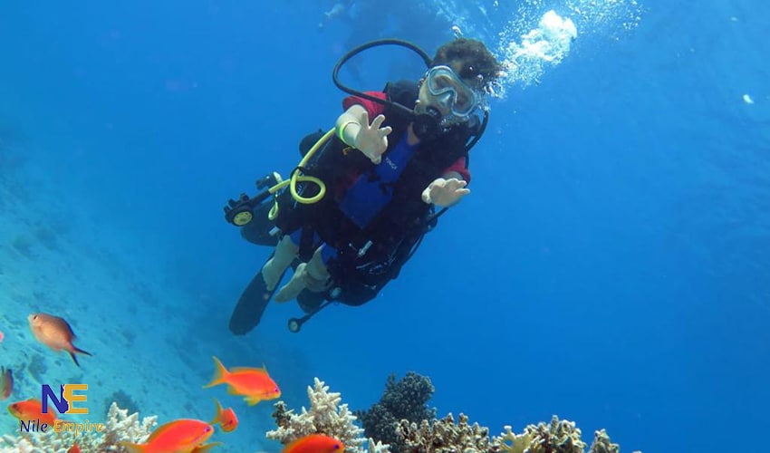 Hamata Islands Diving
