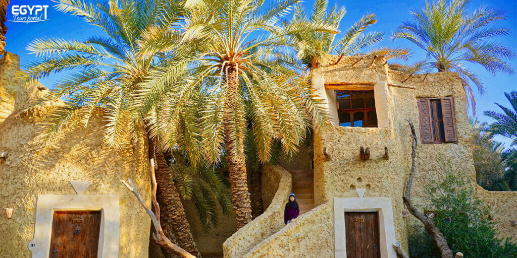 Siwa Oasis Lodge