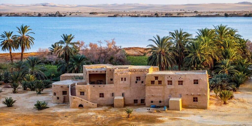 Siwa Oasis Eco Lodge
