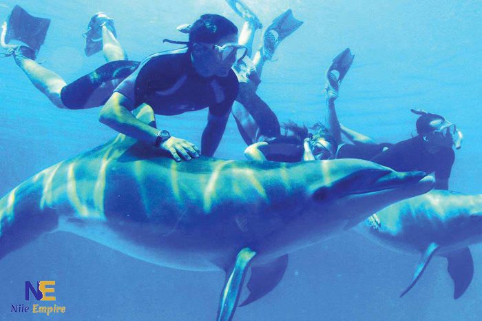 Snorkeling Trip to Satayh Dolphin Marsa Alam