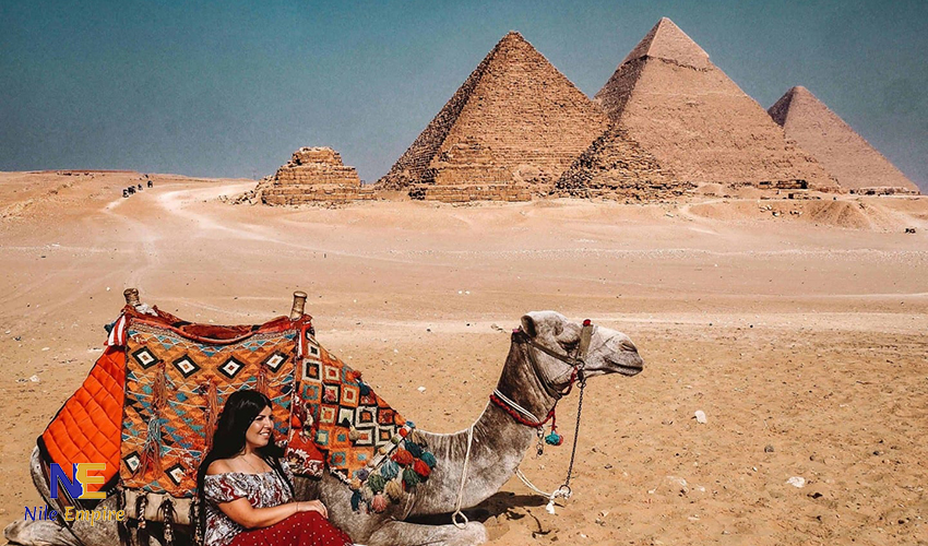 pyramids with camel 42