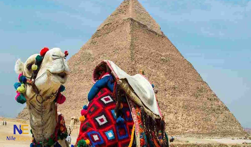 pyramids with camel (49)
