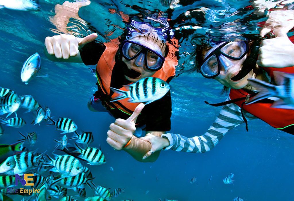 snorkling Sharm El Sheikh