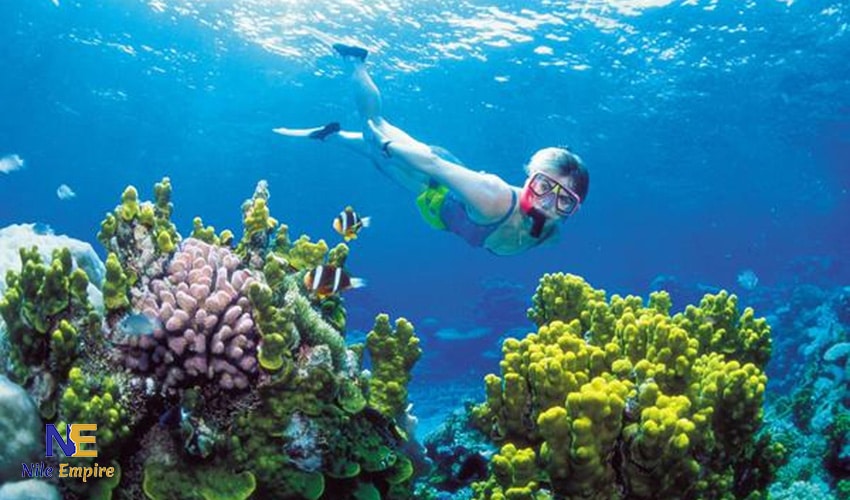 snorkling hurghada 3