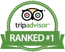 TripAdvisor