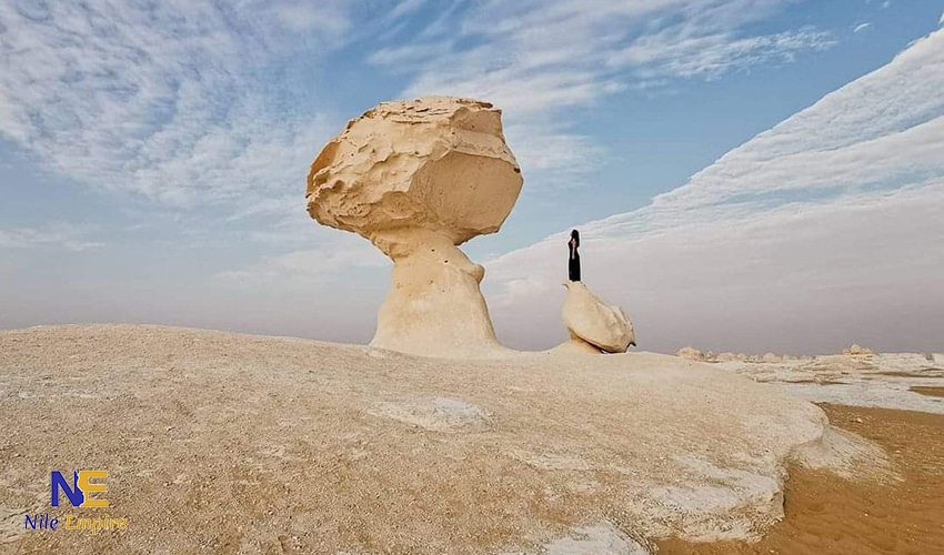 white desert (14)