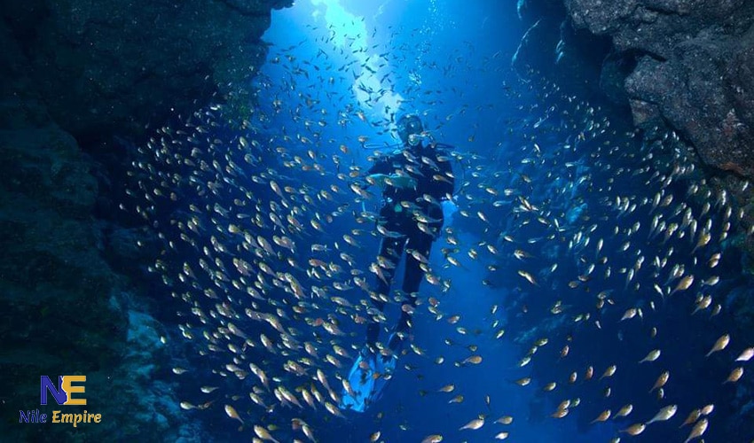 Hurghada Diving