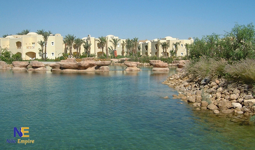 ستيلا (13)