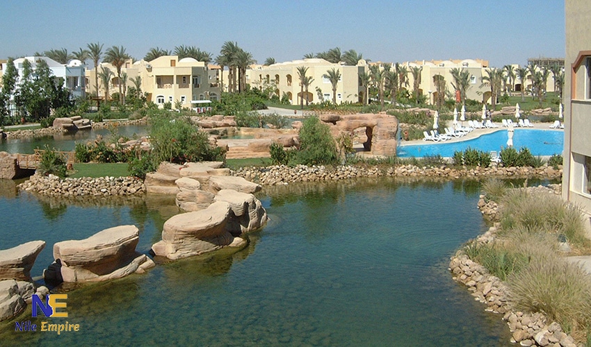 ستيلا (4)