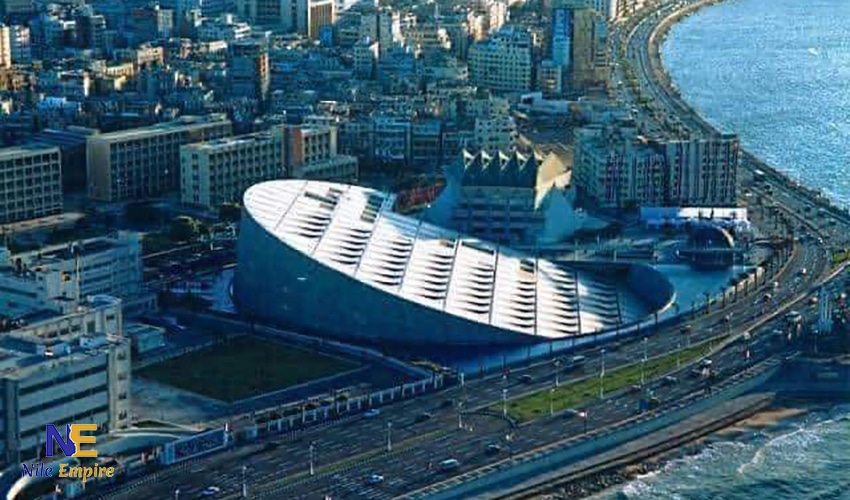 مكتبة الاسكندرية 4