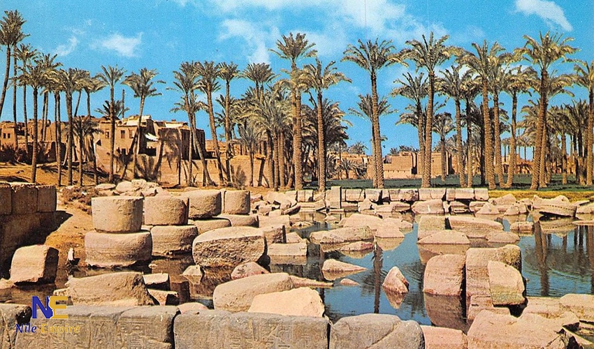 ممفيس (14)