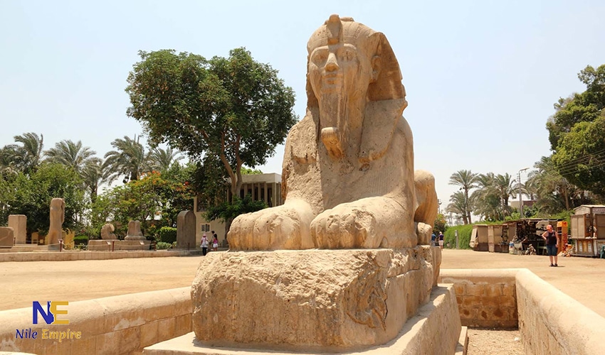 ممفيس (15)