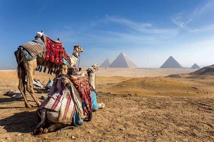 Places to visit in cairo